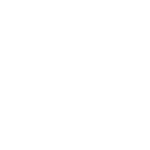 NettiX-logo
